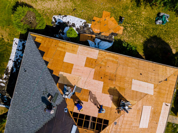 Best Storm Damage Roof Repair  in Silver Lake, NJ